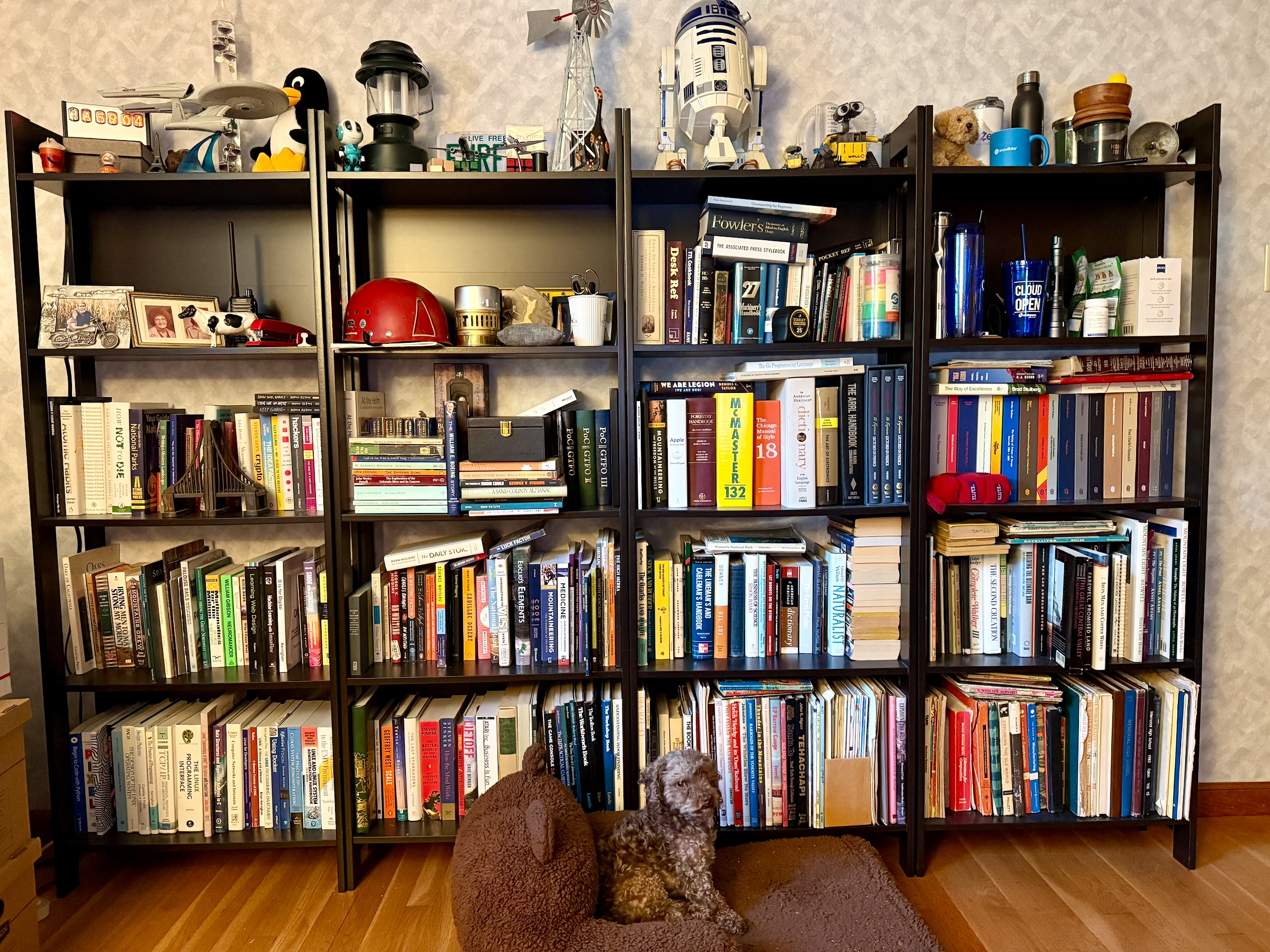 Four crowded black bookcases in Mike’s office, with books and collectibles and a dog sitting in front